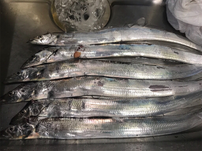 夕まずめ再アタック