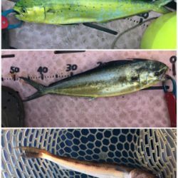 8目釣り！マイボート釣行