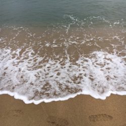 サーフエギング