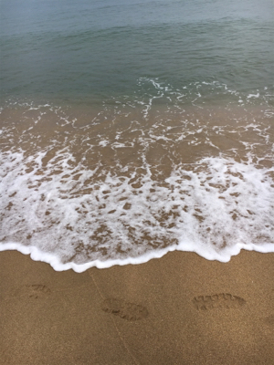 サーフエギング