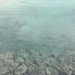 秋イカ釣れてます