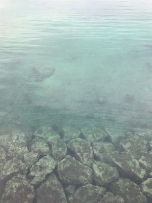 秋イカ釣れてます