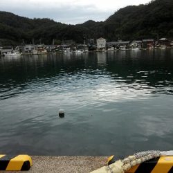 湾内でもよきよき！！