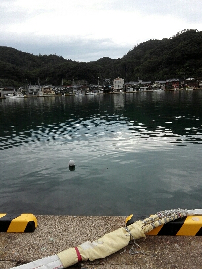 湾内でもよきよき！！