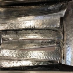 ジグ○ワインド×テンヤ○