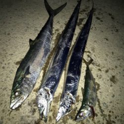 お手軽3種目成功！