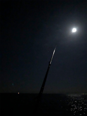 ダブルヘッダー