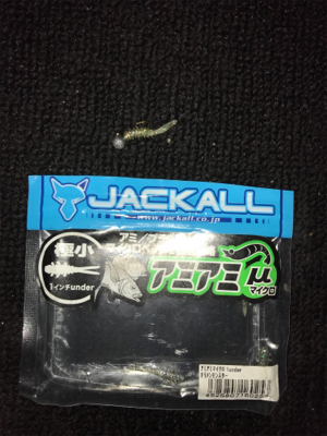 島でのライトゲーム