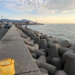 ワインド天国からのサゴシラッシュ