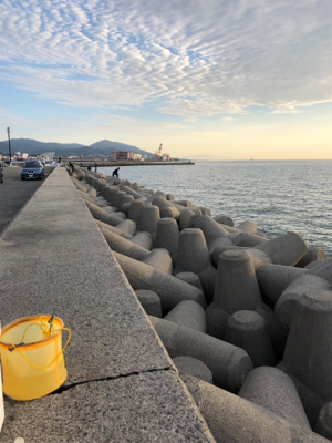 ワインド天国からのサゴシラッシュ