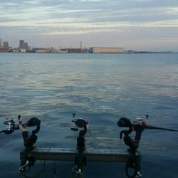 海上釣堀からの神戸タチウオ釣り