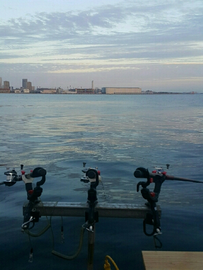 海上釣堀からの神戸タチウオ釣り