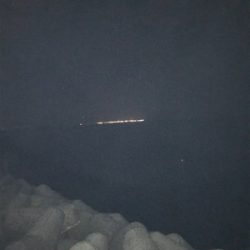 今年は太刀魚の当り年❗️