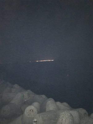 今年は太刀魚の当り年❗️