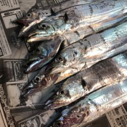 取れないアタリ多い。