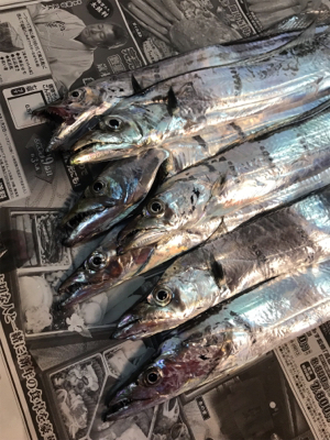 取れないアタリ多い。