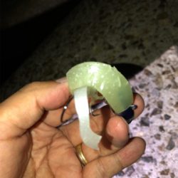 今年初のエギング&ワインド