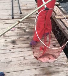 釣り堀かいえい