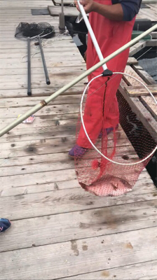 釣り堀かいえい