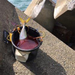 家族サービスの後に