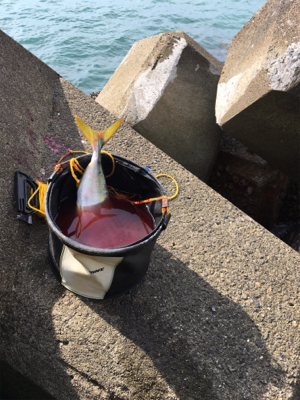 家族サービスの後に