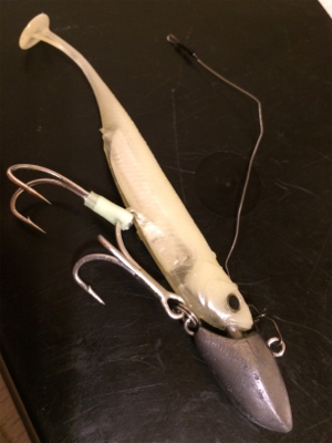 鳴門のタチウオ好調