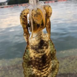 結果オーライ!楽しい現調となりました