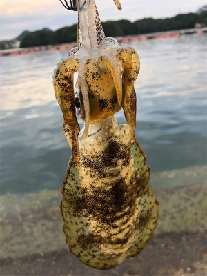 結果オーライ!楽しい現調となりました