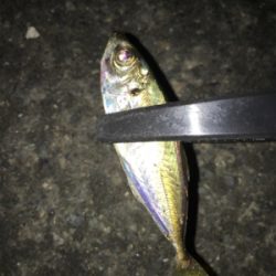 ライトアジング