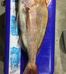 マイボートでタイラバ、ジギング釣行。