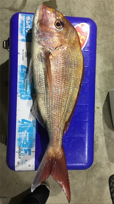 マイボートでタイラバ、ジギング釣行。