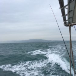 紀北オフショアゲーム