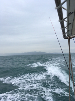 紀北オフショアゲーム