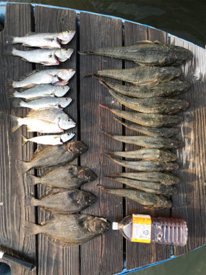 浜名湖ボート爆釣！！