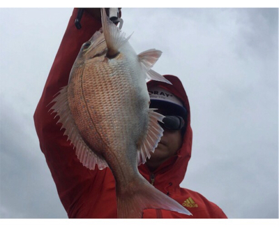 明石  鯛カブラ  虎之介