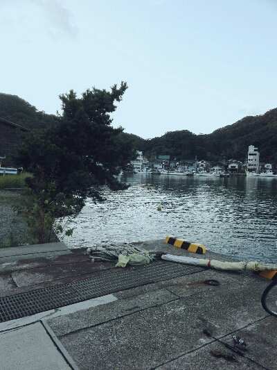 エギングしてたらタコ釣れた爆笑