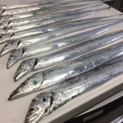 引き釣り短時間爆釣