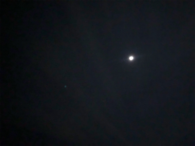 花見川シーバス、チヌ！！