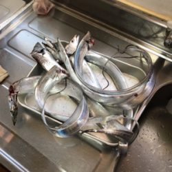 一年ぶりの食品コンビナート