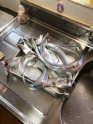 一年ぶりの食品コンビナート