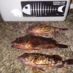 輪ゴムでポン‼️