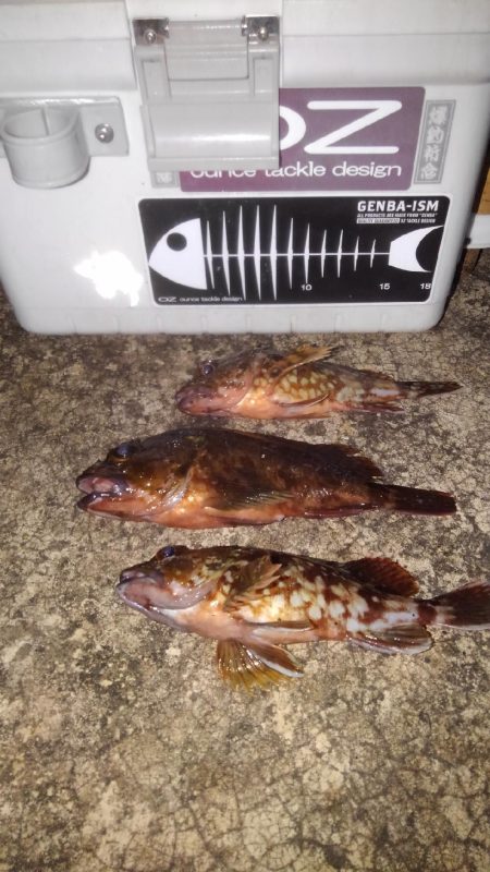 輪ゴムでポン‼️