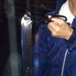 雨の中、台風前に