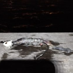 台風前に　あたりは夜中中