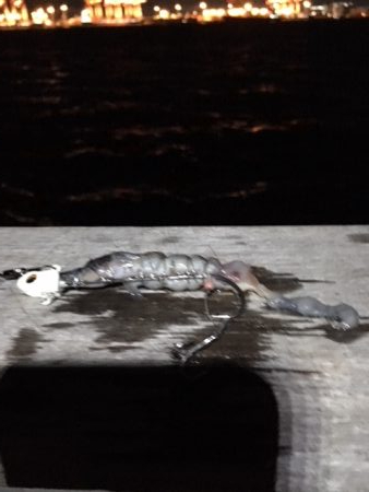 台風前に　あたりは夜中中