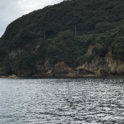 秋烏賊エギング