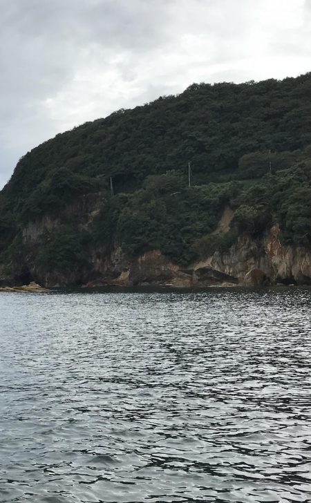 秋烏賊エギング