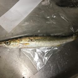 帰りの一時間で！