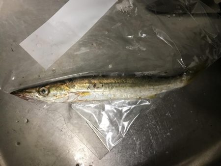 帰りの一時間で！