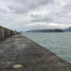 浜吉丸で行く小浦一文字